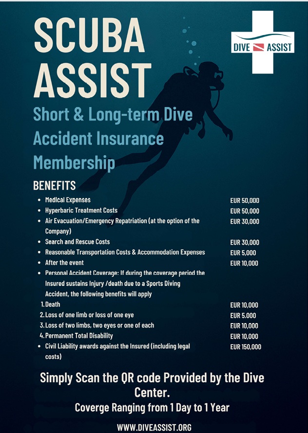 Dive Assist